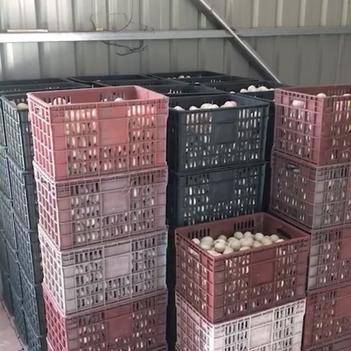 連接田間與餐桌的橋梁 探訪農(nóng)產(chǎn)品批發(fā)供應(yīng)商帥浩的惠農(nóng)網(wǎng)之路