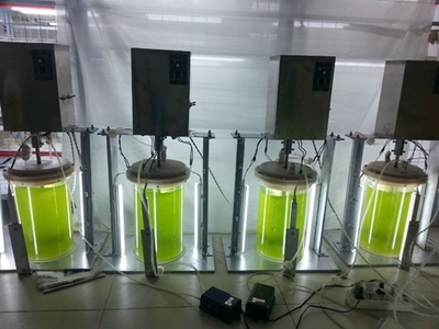 武漢軒明宇環(huán)保科技 創(chuàng)新驅(qū)動，鑄就綠色未來——環(huán)保設(shè)備及裝置的研發(fā)之路