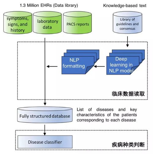中國AI登上Nature子刊 讀懂病歷、推薦診斷，準確度超越人類醫(yī)生